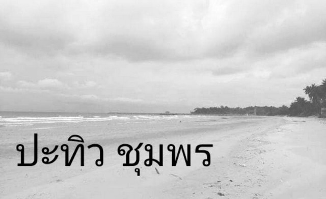 ขายทรัพยมั่งคั่งทวีโชค ที่ดินขายที่ริมหาดติดทะเล หาดสะพลี264 ตร.วา ชุมพร 16 ลบ. โทร 083-712-4115