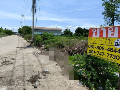ขายที่ดิน 2-2-37 ไร่ แถวนาดี  คลองมะเดื่อ   กระทุ่มแบน สมุทรสาคร
