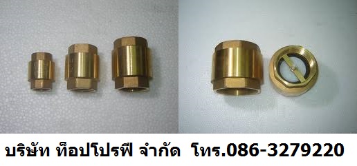 แพน เช็ควาล์ว วูซังวาล์ว Small Check Valve Dual Disc Check Valve เช็ควาล์วราคาถูก 0863279220