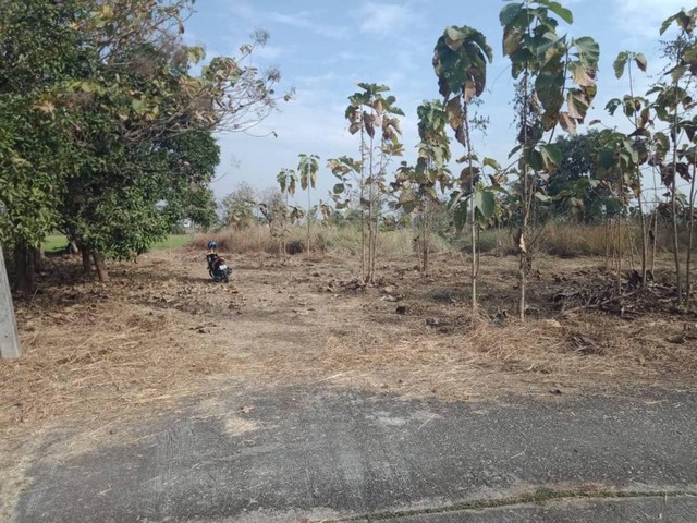 ขายที่ดินพร้อมสร้างบ้านน้ำไฟพร้อม ถนนคอนกรีต สันกำแพง