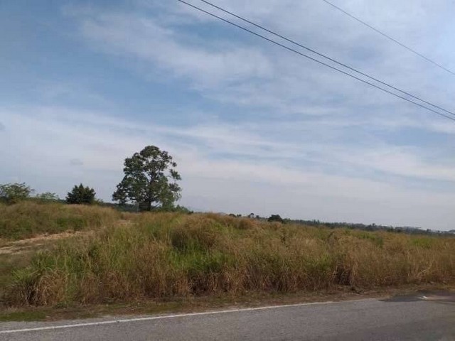 ขายที่ดินเปล่า 160 ไร่ ต.เขาไม้แก้ว อ. บางละมุง จ. ชลบุรี