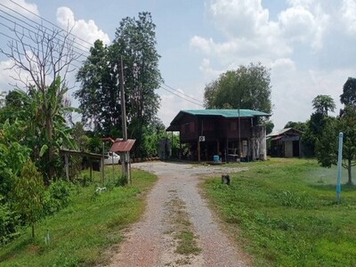  ขายที่ดินสวนทุเรียนจังแพร่ เหมาะเป็นพักอาศัย ทำสวน และซื้อเก็บ 
