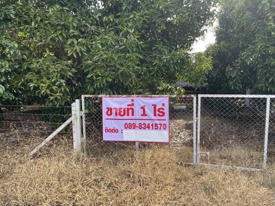 ขายที่สวนผลไม้ พื้นที่ 1 ไร่  ต.กระเฉด ภายในสวนมีผลไม้