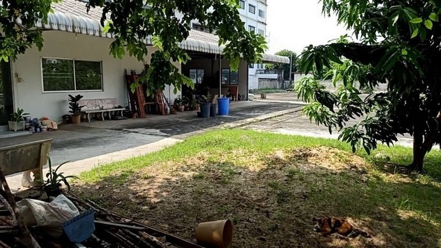 PO160 ขายที่ดิน หมู่บ้านธนัชชา ถนนกรุงเทพ-ปทุมธานี ผังสีชมพู คลองหลวง ธัญบุรี ลำลูกกา 