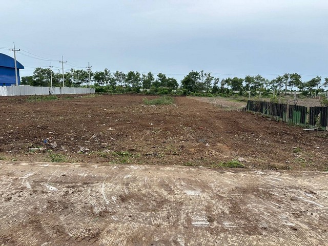 ขายที่ดินคลองสาม ปทุมธานี ไฟฟ้าและน้ำประปามีพร้อม ขนาด 2 ไร่ 2 งาน