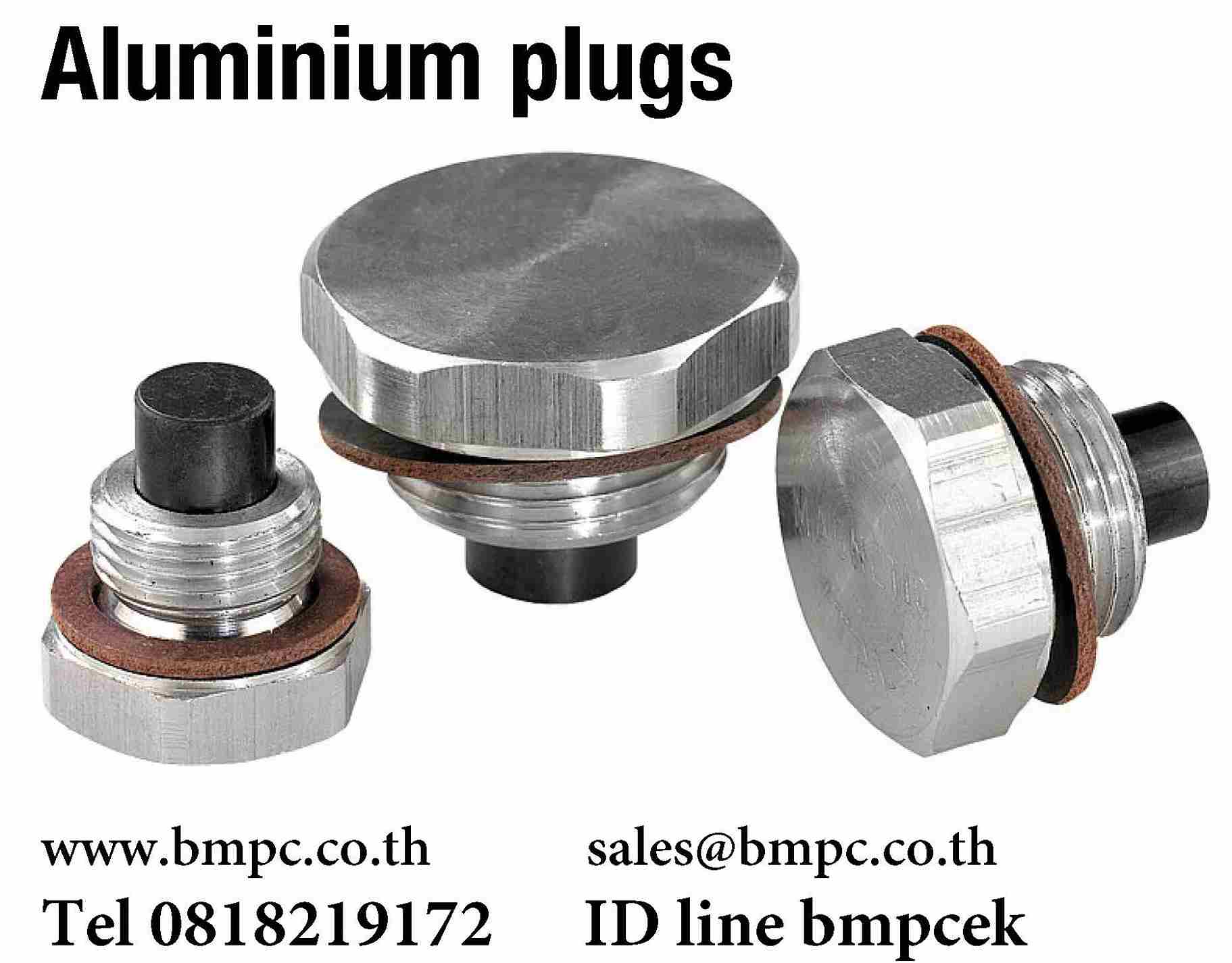 Aluminium plugs with magnet, ปลั๊ดอุดพร้อมเดือยแม่เหล้ก Aluminium plugs with magnet, ปลั๊ดอุดพร้อมเดือยแม่เหล้ก