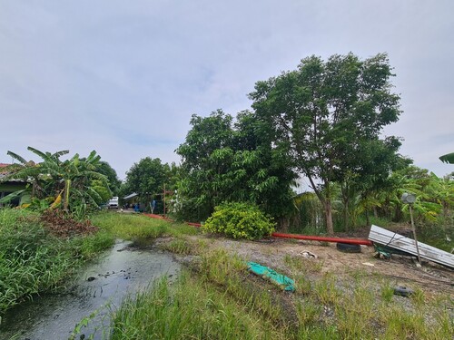  ขาย ที่ดิน ราคาถูก ไทรน้อย หนองเพรางาย 300 ตร.วา เหมาะทำสวนเกษตร อำเภอไทรน้อย นนทบุรี  