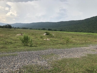 ใกล้ปีใหม่ดูทรัพย์มีมูลค่า ที่สวยติดเขา เทือกเขายา ขอนแก่น