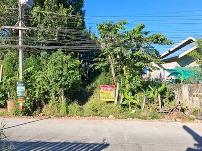 ขายที่ดินสวยติดหัวมุมถนน 82 ตร.วา. ซ.กลางเมือง 5 หลังไทยฟู๊ดเมือง