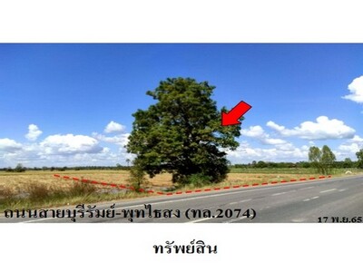 ขายที่ดินว่างเปล่า ต.บ้านจาน อำเภอ พุทไธสง จังหวัด บุรีรัมย์