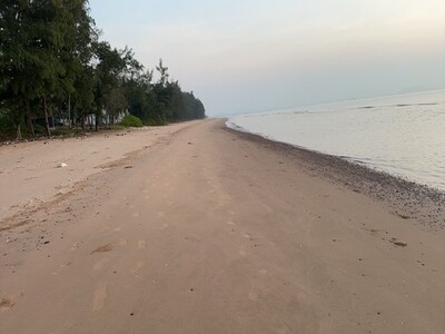 รีบหาที่ทางทำเกษตรพอเพียง   ที่ติดทะเลฝั่งแดงSeaview สวยมาก