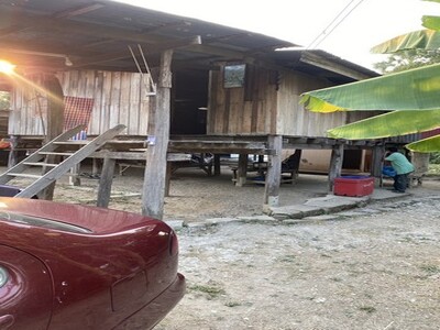 รีบหาที่ทางทำเกษตร  ขายบ้าน262วา ต.โพทะเล อ.ค่ายบางระจัน.สิงห์บุร