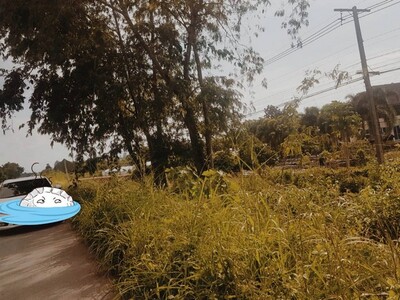 รีบหาที่ทางทำเกษตรพอเพียง ขายที่่สวยติดถนนพหลโยธิน AH1 บ้านตาก จ.