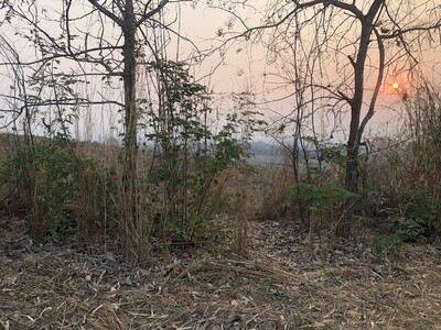 รีบหาที่ทำเกษตรพอเพียง ที่บนเนินเขา สูงจากน้ำทะเล หล่มเก่า เพชรบู