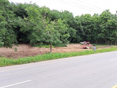 ขายสวนยาง 3.1ไร่ 60 ตรว ติดถนนสายหลัก ทำเลดี อำเภอขุนตาล เชียงราย