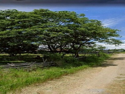 ที่ดินผืนใหญ่ เหมาะสำหรับนักพัฒนาโครงการและนักลงทุน หางดง