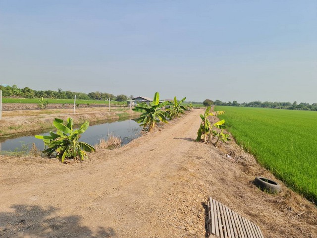 สงกรานต์นี้เล็งที่ทางดีดีสักแปลงนะคะ   ขาย ลาดหลุมแก้ว  คมนาคมสะดวกสบาย เหมะปลูกบ้านทำการเกษตรดินดีวิวสวย บ่อเงินปุทม ใกล้แหล่งน้ำเหมาะทำเกษตร  ใกล้ชุมชน 5ไร่  อำเภอลาดหลุมแก้ว ปทุมธานี ลาดหลุมแก้วไร่ละ 1ลบ. โทร 083-7124115
