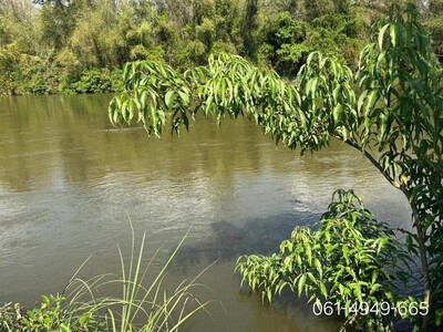 ขายที่สวยติดแม่น้ำแควน้อย ต.วังกระแจะ อ.ไทรโยค จ.กาญจนบุรี