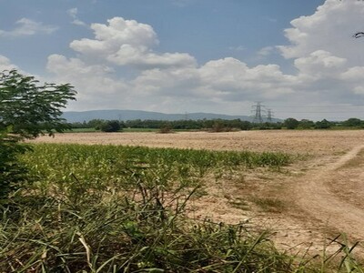 ขายที่ดินคลองกิ่วชลบุรี    เนื้อที่63-2-29 ไร่ 