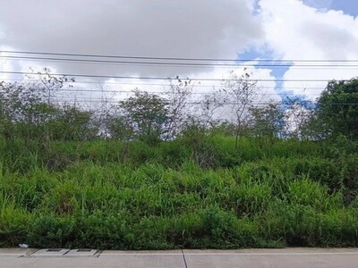 ขายที่ดินศรีราชา บ่อวิน แปลงสวย ทำเลดี เขตเขาขยาย