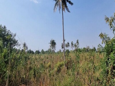 ขายที่ดินหนองขาม ศรีราชา ชลบุรี แปลงสวย ห่างถนน331เพีย 3 กม.