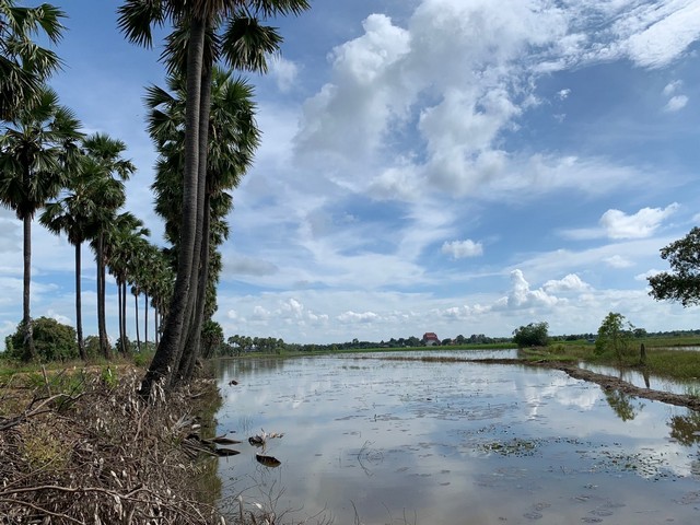 ขายที่ดิน ถนน รังสิต-นครนายก ตำบล บางอ้อ อำเภอ บ้านนา จังหวัด นครนายก 