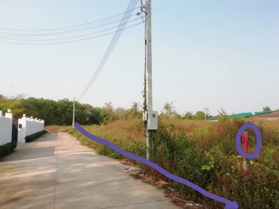 ขายที่ดินเปล่าถมแล้ว ซอยฝรั่งวิลเลจ ตำบลน้ำแพร่ อำเภอหางดง เชียงใ