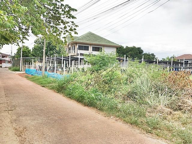 ขายที่ดินนครราชสีมา ติดถนนบายพาส ใกล้โฮมโปรโคราช ขายที่ดินเมืองนครราชสีมา ที่ดินสวย เป็นรูปสี่เหลี่ยมผืนผ้า เหมาะสำหรับสร้างเป็นที่อยู่อาศัย