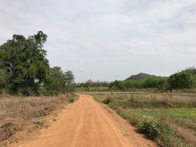 ขายที่ดินสวนยางบ้านนาค้อ 7-3-43 ไร่ (ปากชม จ.เลย) 1.2 ล้าน (โอนฟร
