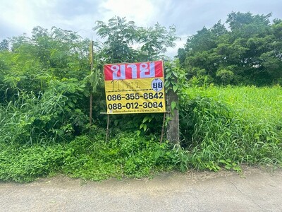 ขายที่ดิน‭ ซอยลาดพร้าว 101 แยก 42 ซอยปรีดา เนื้อที่ 111 ตารางวา