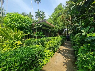 ขายที่ดินพร้อมรีสอร์ทสวนผึ้ง บางเสร่ สัตหีบ ชลบุรี