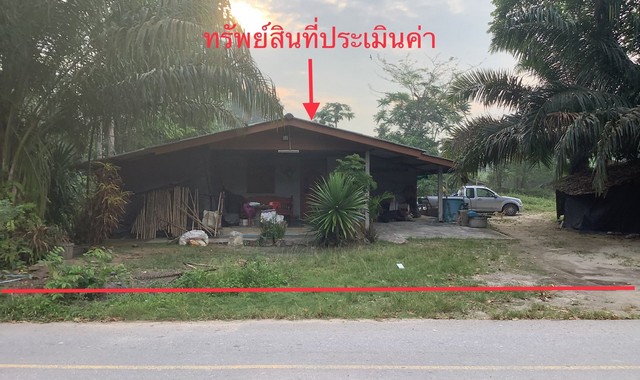 ขายบ้านเดี่ยวใกล้ โลตัลเวียงสระ อำเภอเวียงสระ จังหวัดสุราษฎร์ธานี PKK02-13576