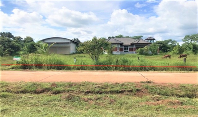 ขายบ้านเดี่ยว    อำเภอเจริญศิลป์ สกลนคร (PKK02-15163)