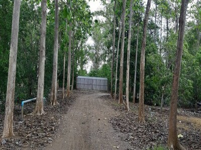 ขายที่ดิน 30 ไร่ สอยดาว จันทบุรี 