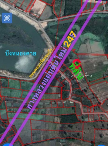 ขายที่ดินสวยๆ ติด ทางเลี่ยงเมืองและบึงหนองคาย ขาย ไร่ละ 1.2 ล้าน 