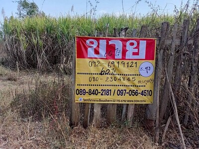 ขายที่ดินไร่อ้อย 60 ไร่  ดงมะไฟ  เมืองสกล 