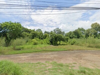 ขายที่ดิน 10 ไร่ 1 งาน 8.3 ตารางวา  จังหวัดลพบุรี