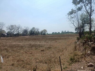 ที่ดินขนาด 6 ไร่ 3 งาน 84 ตารางวา อำเภอปากท่อ จังหวัดราชบุรี 