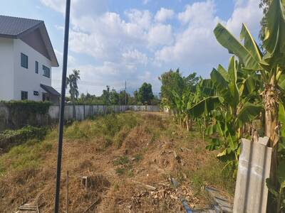 ที่ดินแปลงสวย ติดถนนเส้นหลักบ้านกลาง – ท่าวังตาล สารภี