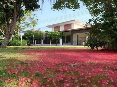 ให้เช่าบ้านเดี่ยวหลังใหญ่พนัสชลบุรี สิรัชชา พาร์ค 