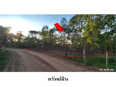ขายที่ดินว่างเปล่า ต.โพนงาม อ.โกสุมพิสัย จ.มหาสารคาม