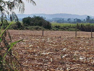 คุ้มลงทุนทรัพย์ในดิน ขายที่ปากช่อง 2-8ไร่ โฉนด ต.วังไทร ไร่ละ 2.9