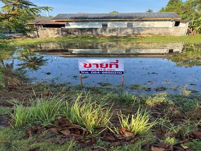 ขายที่ดินเปล่า ทำเลดี ใกล้ตลาด อ.เมือง พัทลุง