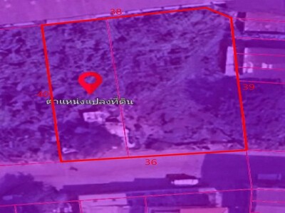 ขายที่ดินผังสีม่วง 337 ตรว. เพชรเกษม122  อ้อมน้อย กระทุ่มแบน 