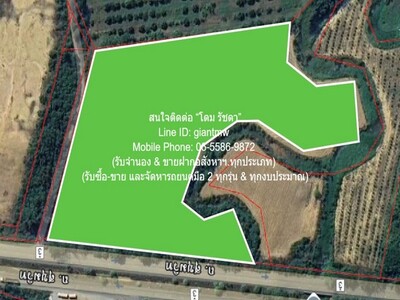 ขายที่ดินไร่สัปปะรดแปลงใหญ่ ติดถนนสุขุมวิท และติดคลอง 16-2-2 ไร่ 