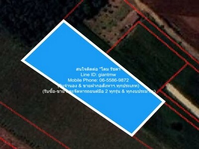 ขายที่ดินไร่สวนทางการเกษตร (ติดถนน และติดเขา) 2-0-77.9 ไร่