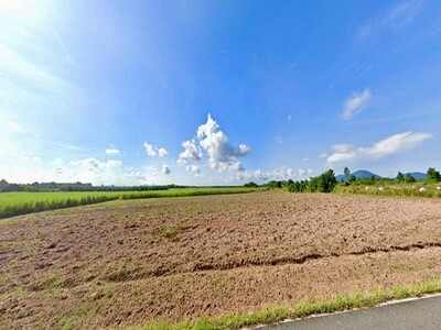 ที่ดิน 106 ไร่ บ้านบึง ใกล้ถนน 331 ผังเหลือง EEC ทำโรงงานได้ ติดถ