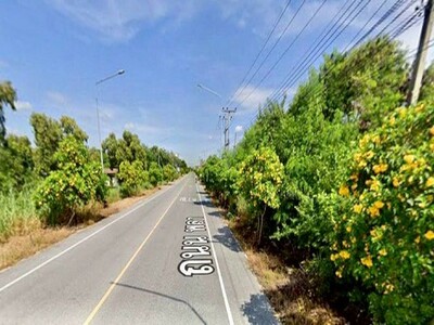 ขายที่ดินระยอง แปลงสวย ทำเลดี ติดถนนถนนสาธารณะ ใกล้หาดหาดพลา