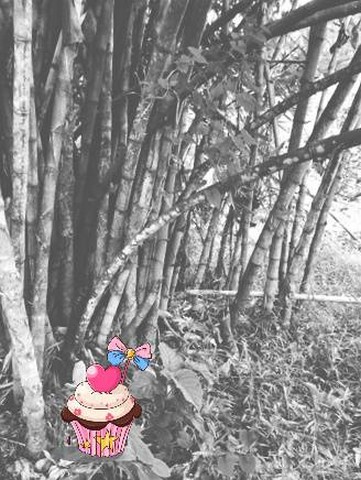 มิถุนากลางปีรับโปรดีดีข้อเสนอสุดพิเศษกับทีมการขายเน้นโทรตรงนะคะ  ที่ดินติดลำธารน้ำใสไหลริน ชุ่มฉ่ำตลอดปี สวยวิวล้าน 800000บาท 3-0-35ไร่ อำเภอสันติสุข น่าน