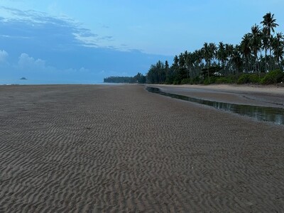ที่วิวสวยมีไว้ไม่ผิดหวัง ที่ดินสวยใกล้หาดฝั่งแดง 2.8 ลบ.